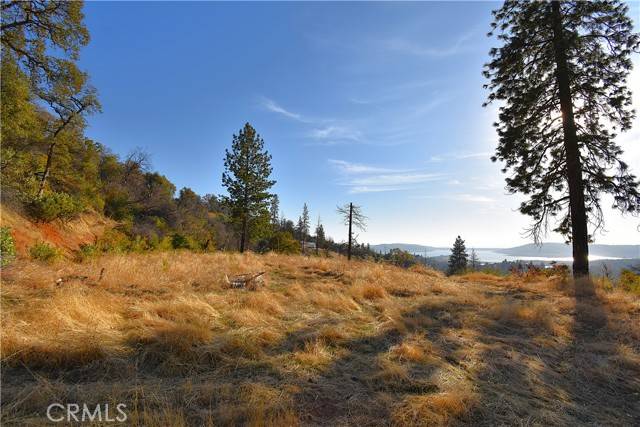 Berry Creek, CA 95966,0 Canyon Creek Road