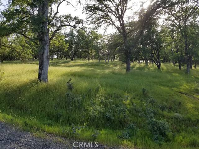 Oroville, CA 95966,0 Whitney Court