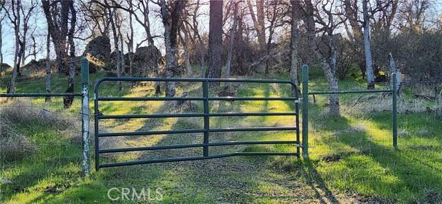 Bangor, CA 95901,0 Sunny Hills Road