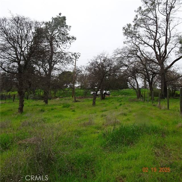 Oroville, CA 95966,0 Long Bar