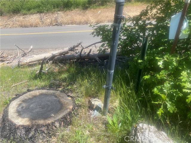 Berry Creek, CA 95916,1103 Bald Rock Road
