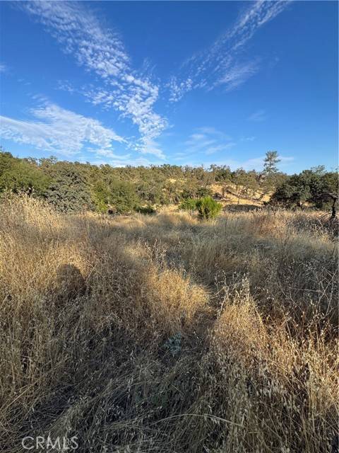 Oroville, CA 95965,3258 Dry Creek Road