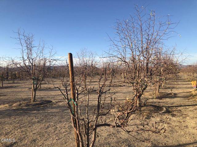 Lucerne Valley, CA 92356,34738 Old Woman Springs Road