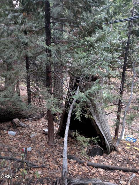 Lake Arrowhead, CA 92352,0 Fleming Creek