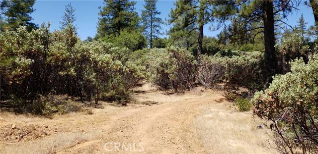 Oroville, CA 95965,0 Lumberjack Road
