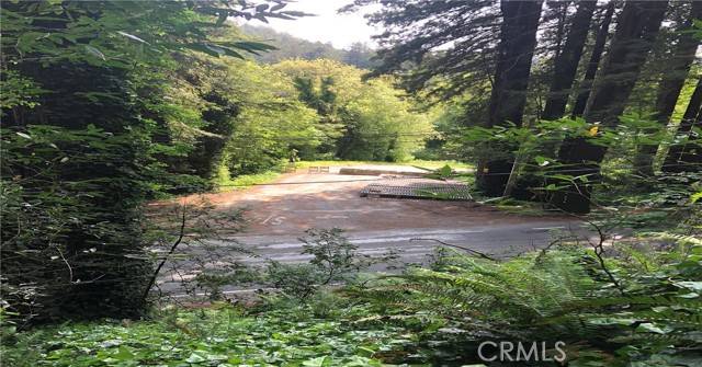 Guerneville, CA 95446,18176 HWY 116