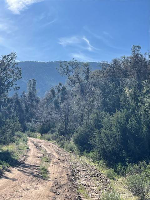 Caliente, CA 93518,0 Back Canyon Road