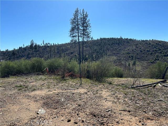 Oroville, CA 95965,1234 Hog Ranch Rd