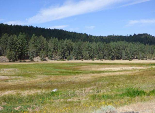 Alturas, CA 96101,0 Lot 13 Drive