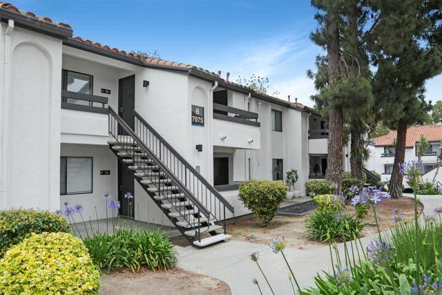 La Jolla (san Diego), CA 92122,7039 Charmant Dr