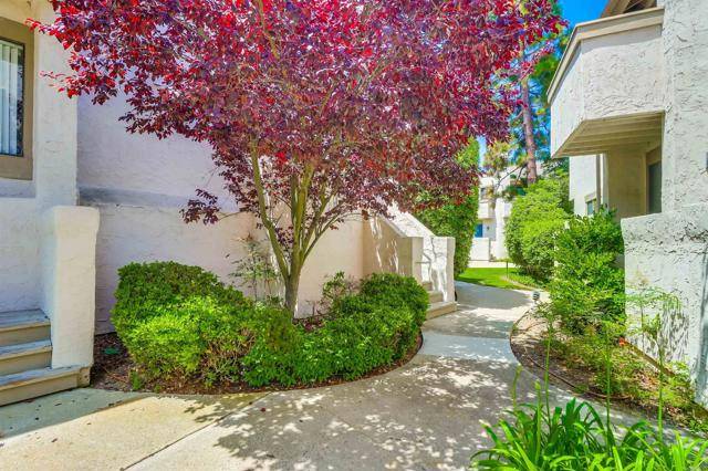 La Jolla (san Diego), CA 92037,8470 Via Sonoma #31