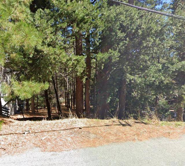 Lake Arrowhead, CA 92352,0 San Benito Lane