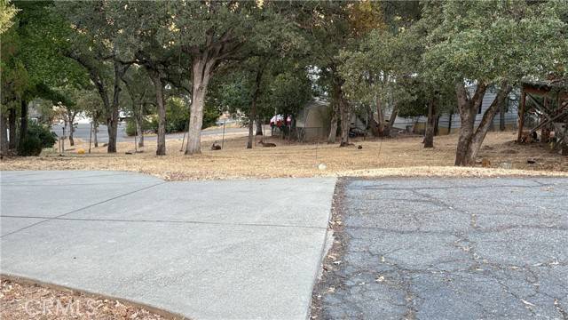 Oroville, CA 95966,34 Coho Court