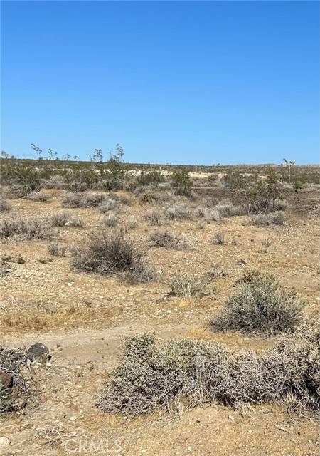 Adelanto, CA 92301,5 Mi N/O Shadow Mt Road