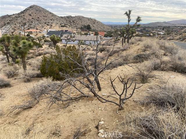 Yucca Valley, CA 92284,0 Free Gold Drive