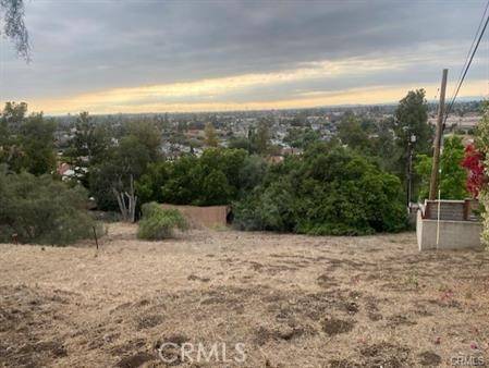 Santa Ana, CA 92705,12302 Circula Panorama