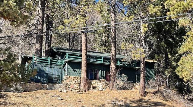 Big Bear Lake, CA 92315,246 Big Bear Boulevard