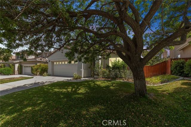 Redlands, CA 92374,1669 Valley Falls Avenue