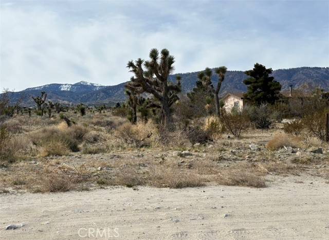 Pinon Hills, CA 92372,0 Mono Road