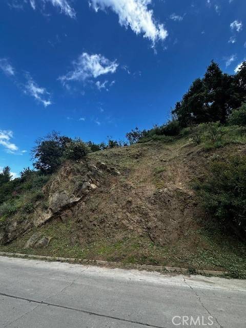 Los Angeles, CA 90046,7258 Woodrow Wilson Drive