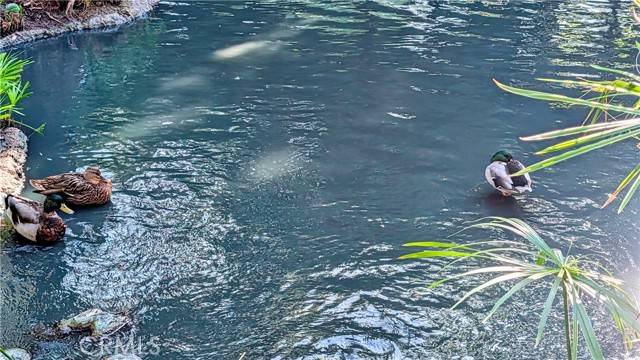 Orange, CA 92869,4900 E Chapman #62