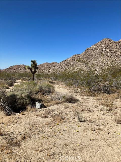 Joshua Tree, CA 92252,0 Anaconda Dr.