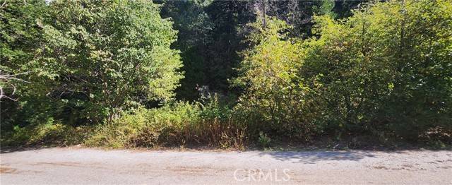 Lake Arrowhead, CA 92385,0 Maple Road