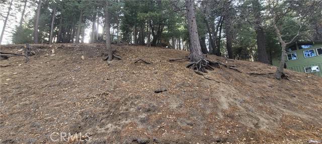 Running Springs, CA 92382,0 Spring Oak Drive