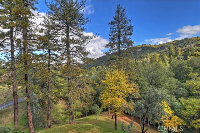 Crestline, CA 92325,24998 Jewel Drive