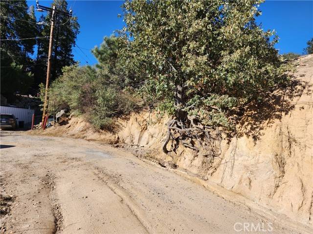 Cedar Glen, CA 92321,0 Balsam Way