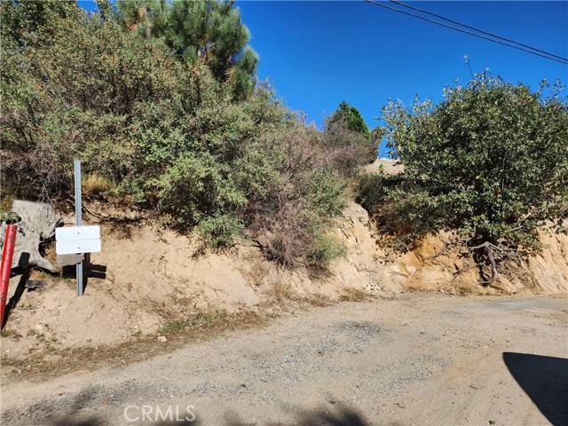 Cedar Glen, CA 92321,0 Balsam Way