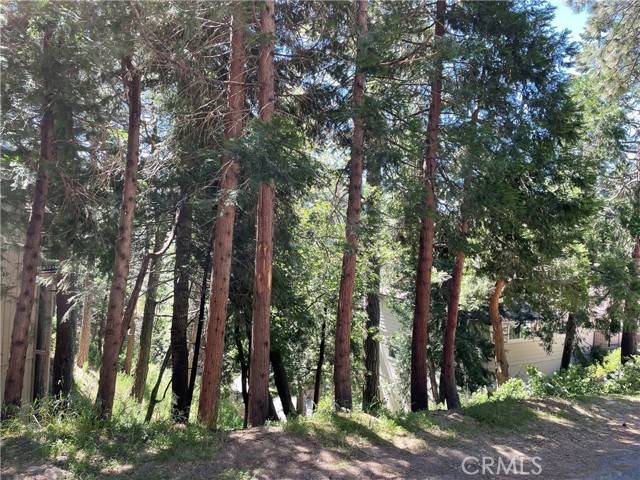 Lake Arrowhead, CA 92352,0 W Victoria Court