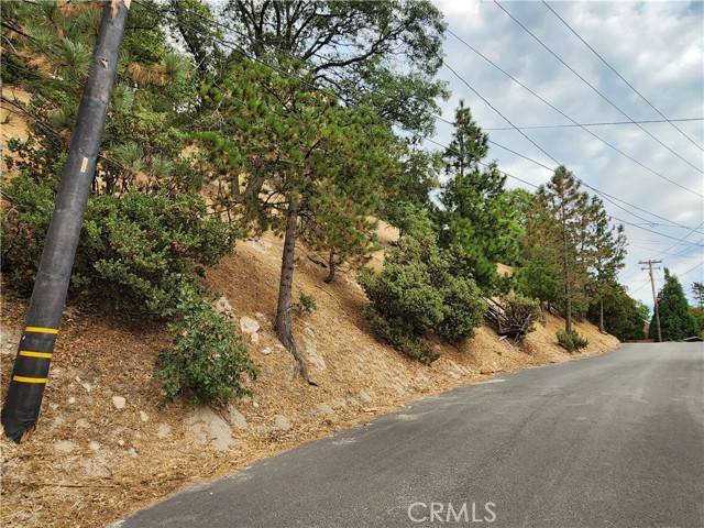 Lake Arrowhead, CA 92352,0 Evergreen Lane