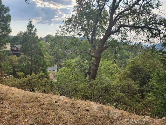 Lake Arrowhead, CA 92352,0 Evergreen Lane