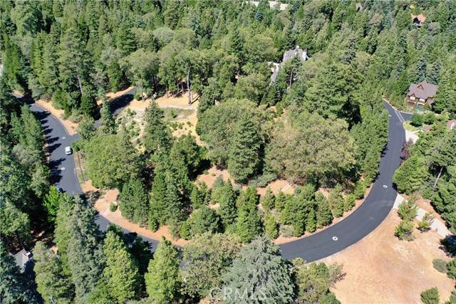 Lake Arrowhead, CA 92352,29230 Pigeon Hawk Lane