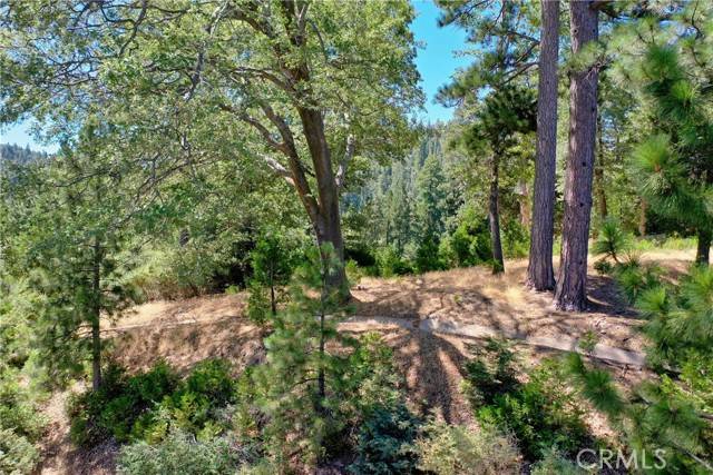 Lake Arrowhead, CA 92352,29230 Pigeon Hawk Lane