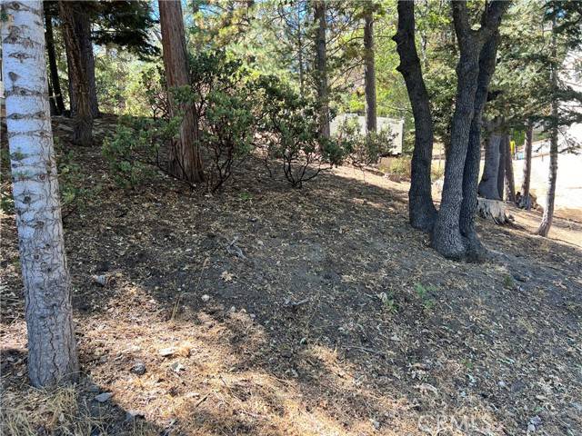 Lake Arrowhead, CA 92352,0 Auburn Drive