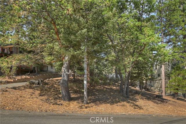 Lake Arrowhead, CA 92352,0 Auburn Drive