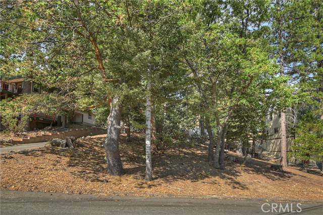 Lake Arrowhead, CA 92352,0 Auburn Drive