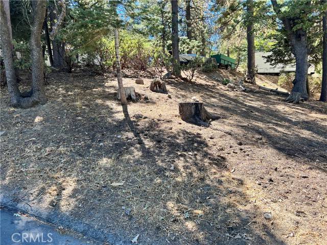 Lake Arrowhead, CA 92352,0 Auburn Drive