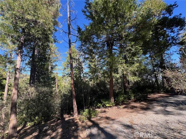 Lake Arrowhead, CA 92352,27530 North Bay Road