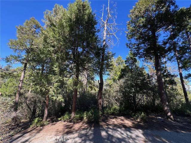 Lake Arrowhead, CA 92352,27530 North Bay Road