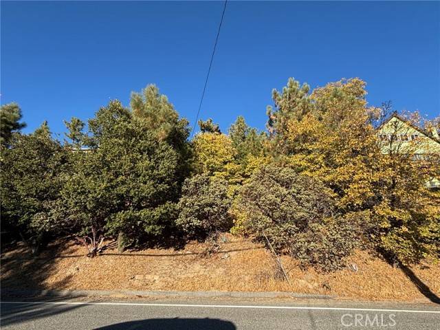 Lake Arrowhead, CA 92352,0 Grass Valley Road