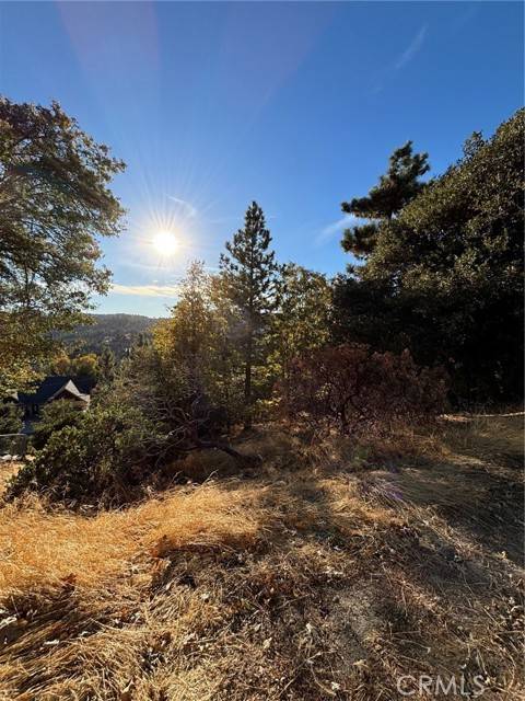 Lake Arrowhead, CA 92352,0 Grass Valley Road