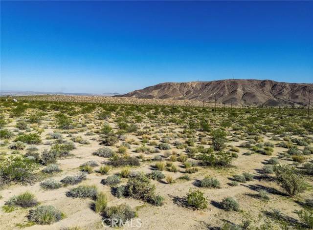 Twentynine Palms, CA 92277,1 Dorth Pl