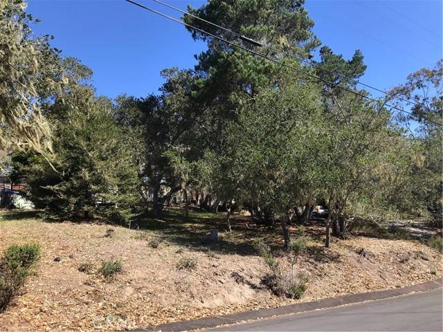 Cambria, CA 93428,0 Saint James Road