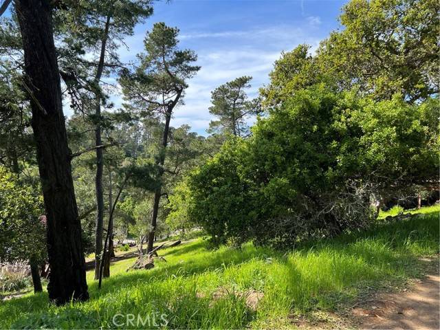 Cambria, CA 93428,1617 Pierce Avenue