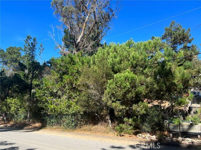 Cambria, CA 93428,1817 Avon Avenue