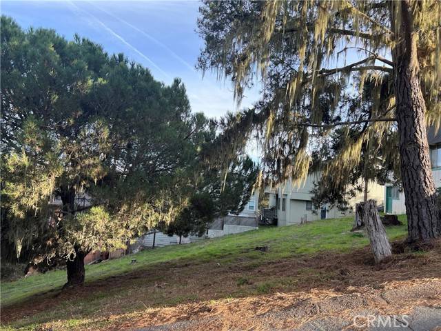 Cambria, CA 93428,0 Worcester