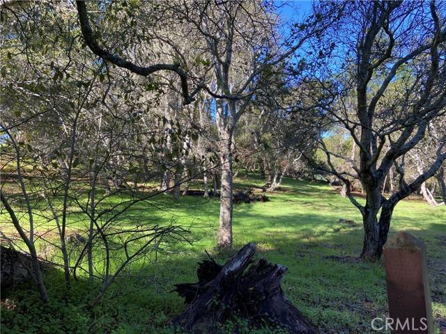 Cambria, CA 93428,0 Kenneth